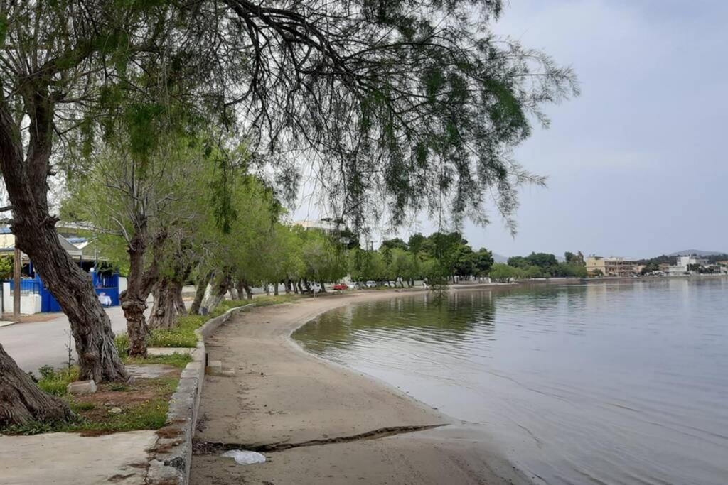Πολυτελές Διαμέρισμα 2 Χαλκίδα-Παραλία Αυλίδος Paralia Avlidhos Экстерьер фото